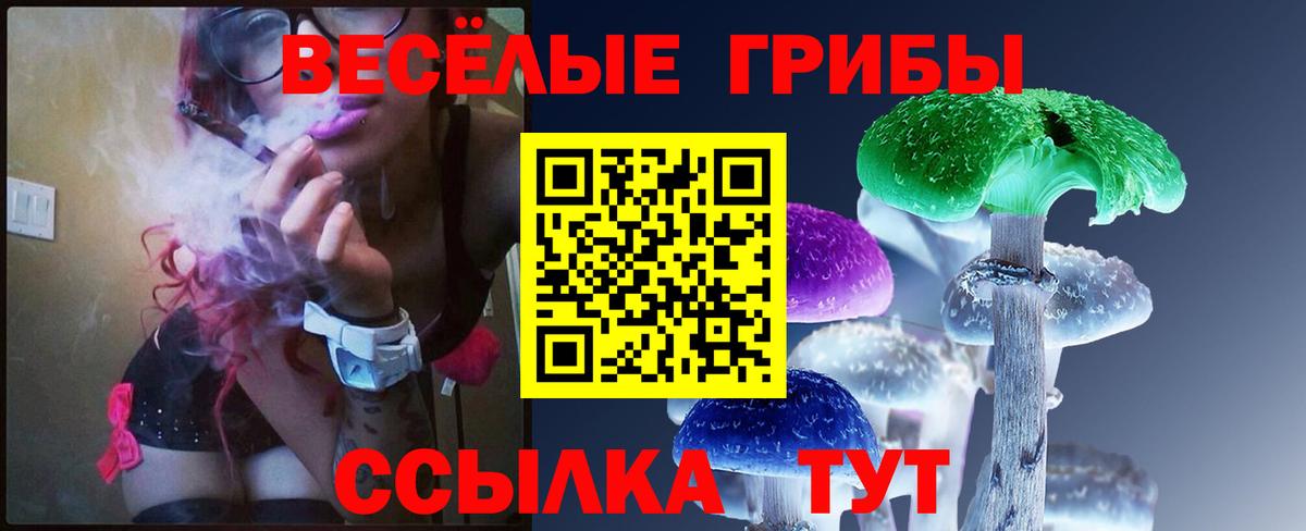 Галлюциногенные грибы GOLDEN TEACHER  Псилоцибиновые грибы ЛСД  Вход с VPN  Тавда 